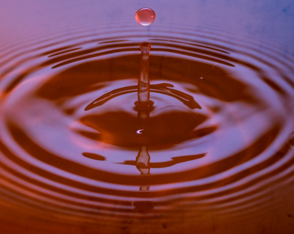 'S P L A S H!' by Richard Wimbush, Norton Radstock u3a